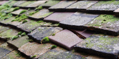 Eden Park roof repair costs